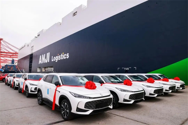 当技术开花、改革结果：上汽的“硬核反攻”